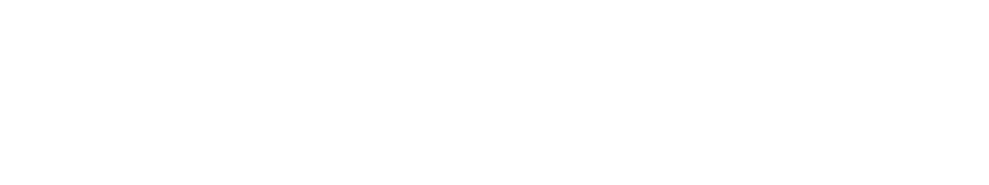 Prime White Logo copy